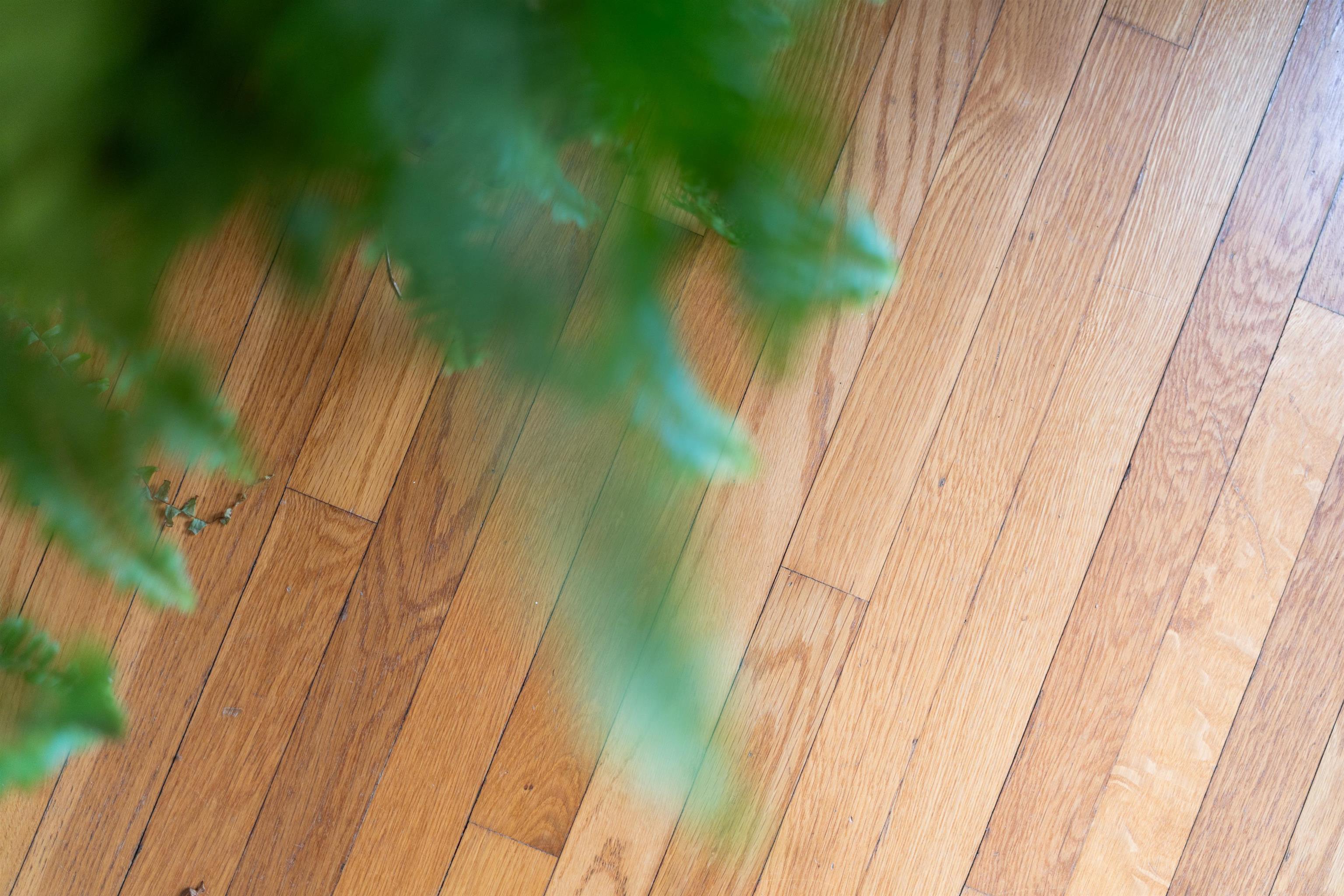 528 Locust Avenue Waynesboro, VA 22980 - Photo 17 of 47