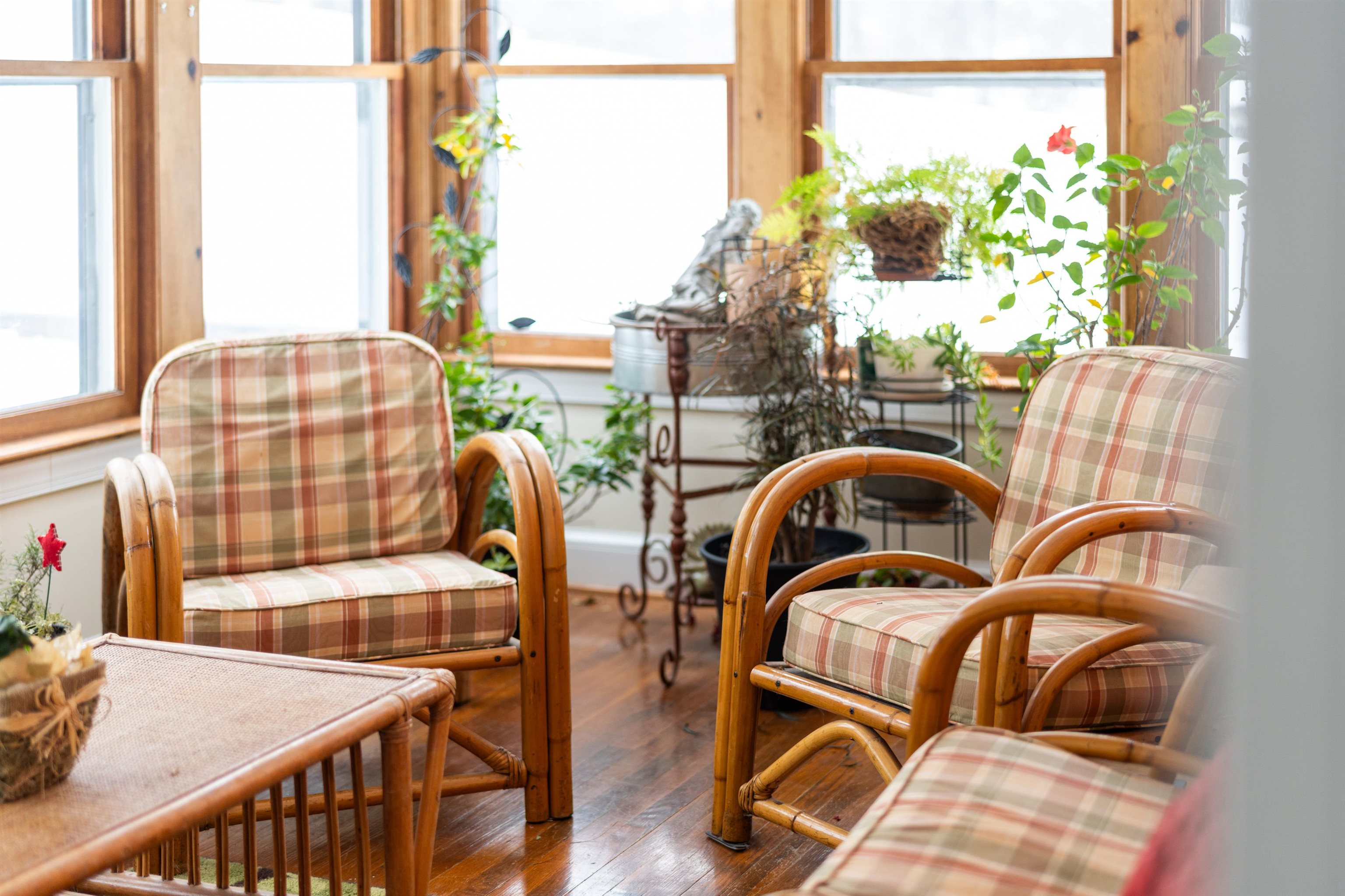 528 Locust Avenue Waynesboro, VA 22980 - Photo 27 of 47