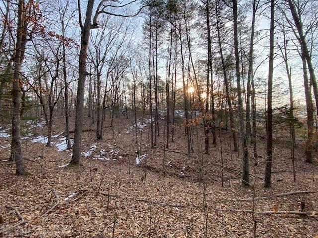 Tbd Flatwoods Road Elliston, VA 24087 - Photo 8 of 13 Gallery Image 8