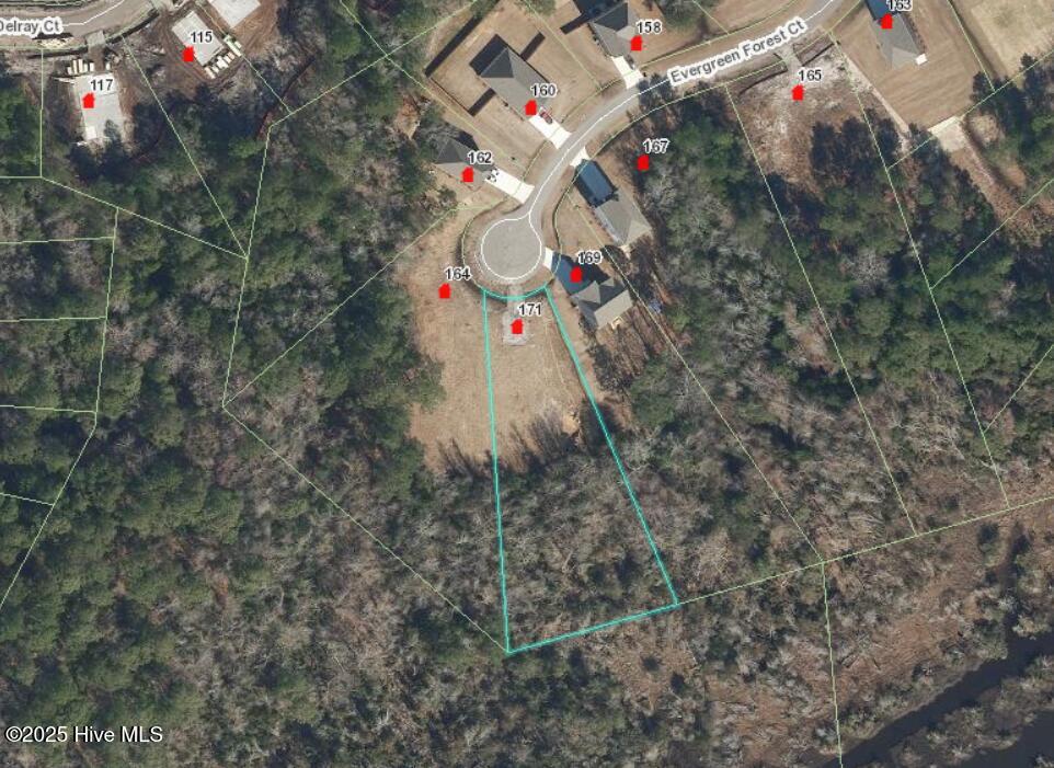 171 Evergreen Forest Court Sneads Ferry, NC 28460 - Photo 4 of 8 aerial 193