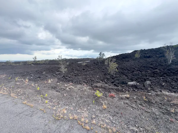 a view of a dry field