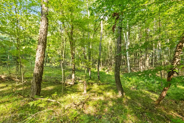 $179,900 | 4201 East 20th Street, White Cloud, MI 49349