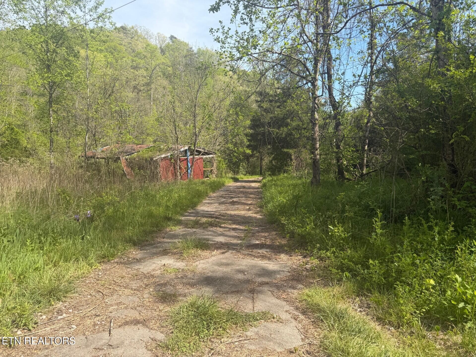 416 Satterfield Road Maynardville, TN 37807 - Photo 12 of 25 Gallery Image 12