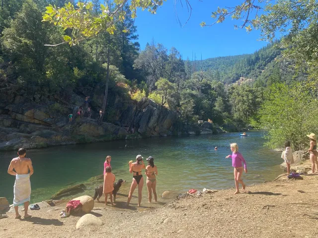 a view of a pathway both side of grassy field with shrub