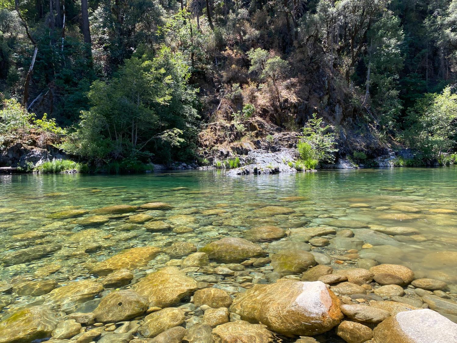 31004 Relief Hill Road, Unit 3 Nevada City, CA 95959 - Photo 29 of 31 a view of a lake with a field