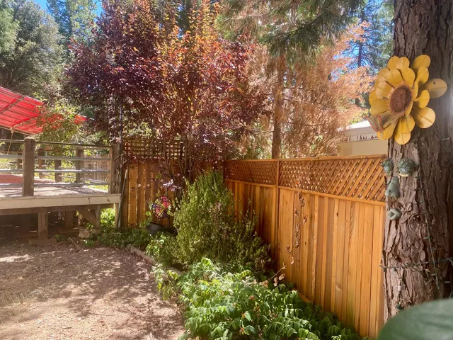 a backyard of a house with lots of green space