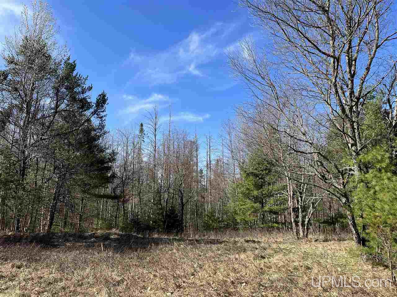 70 Old Highway 70 Road Minocqua, WI 54548 - Photo 2 of 11