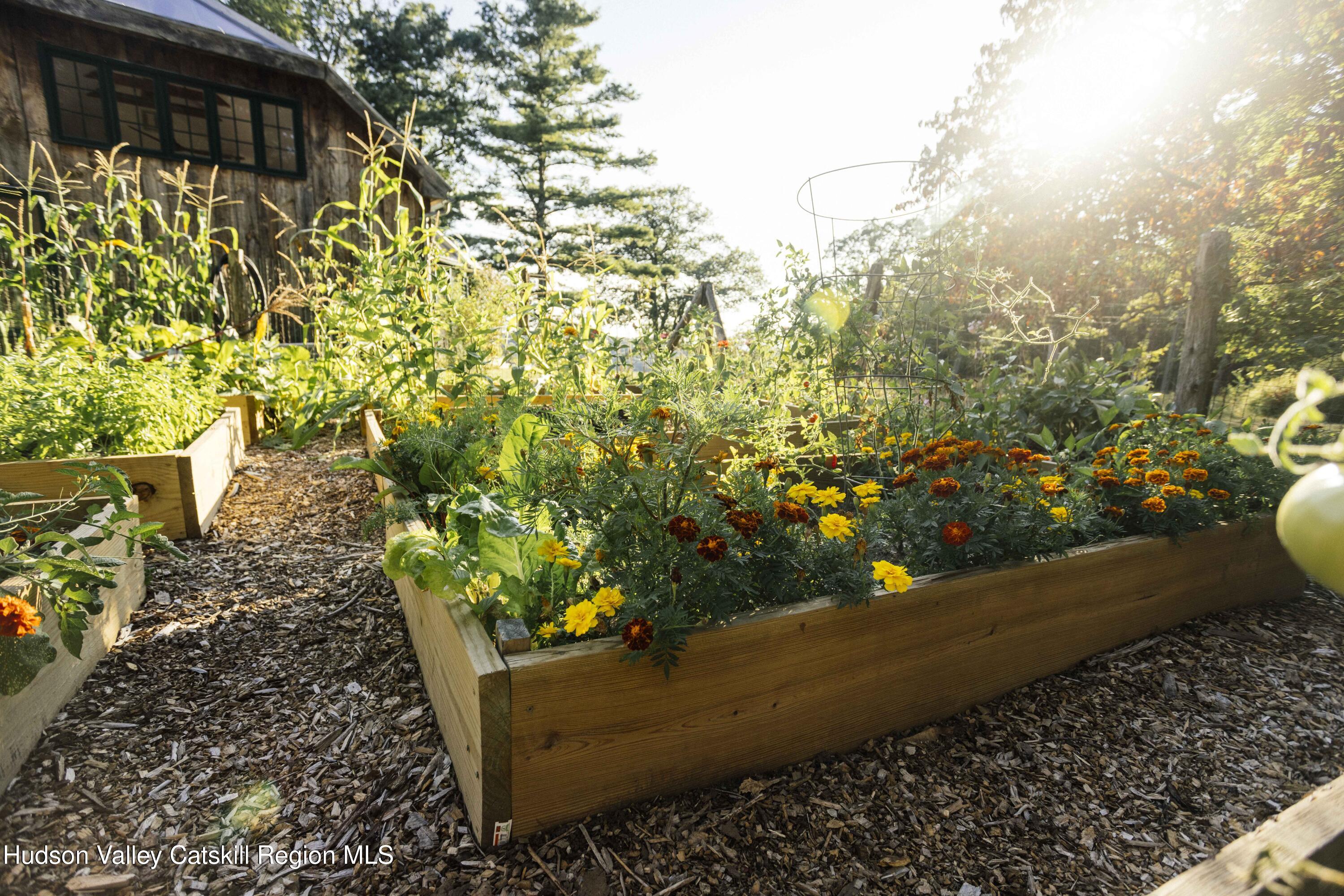 2429 County Rte 9 East Chatham, NY 12060 - Photo 49 of 59 7M6A3650