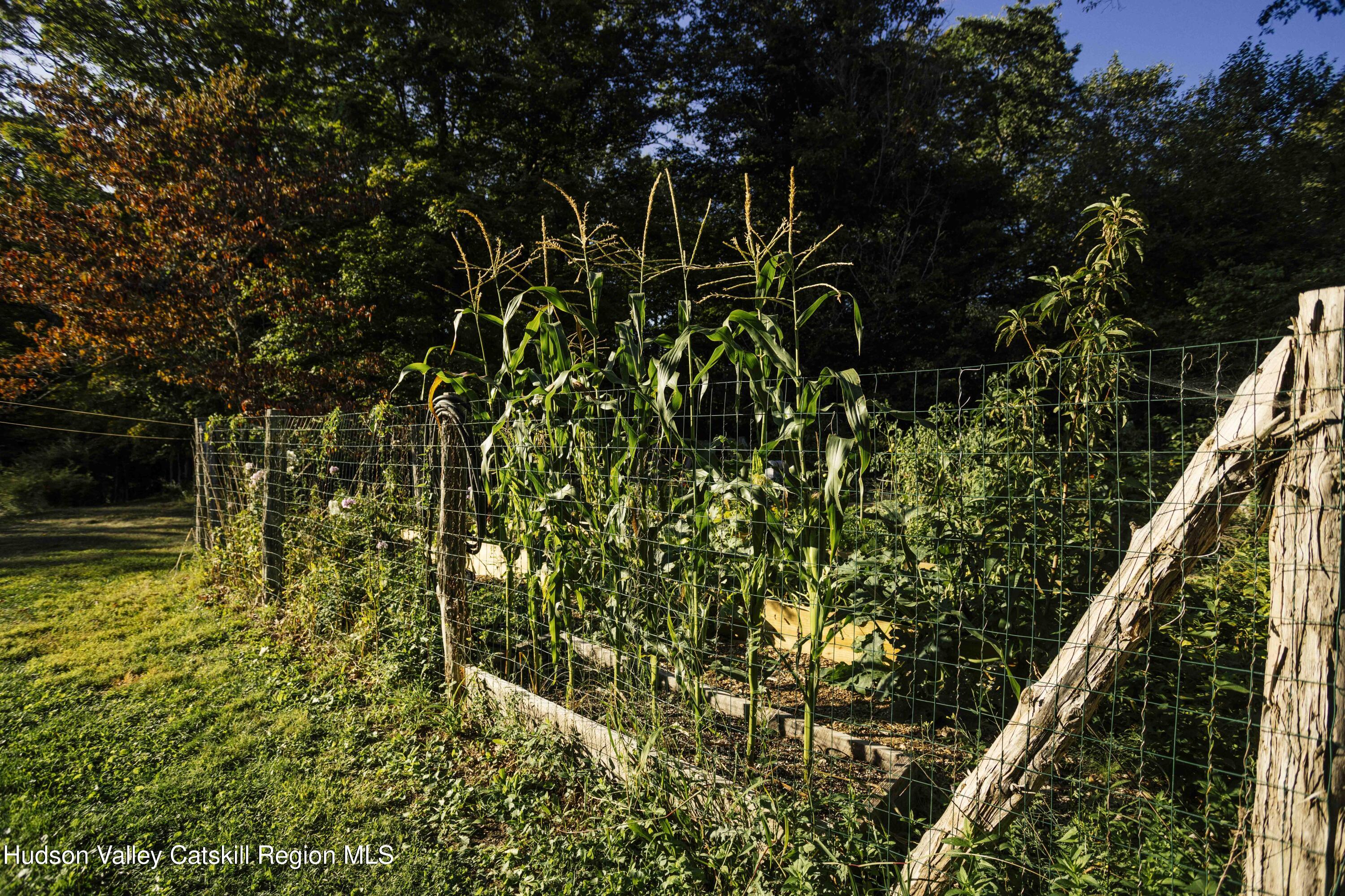 2429 County Rte 9 East Chatham, NY 12060 - Photo 50 of 59 7M6A3595
