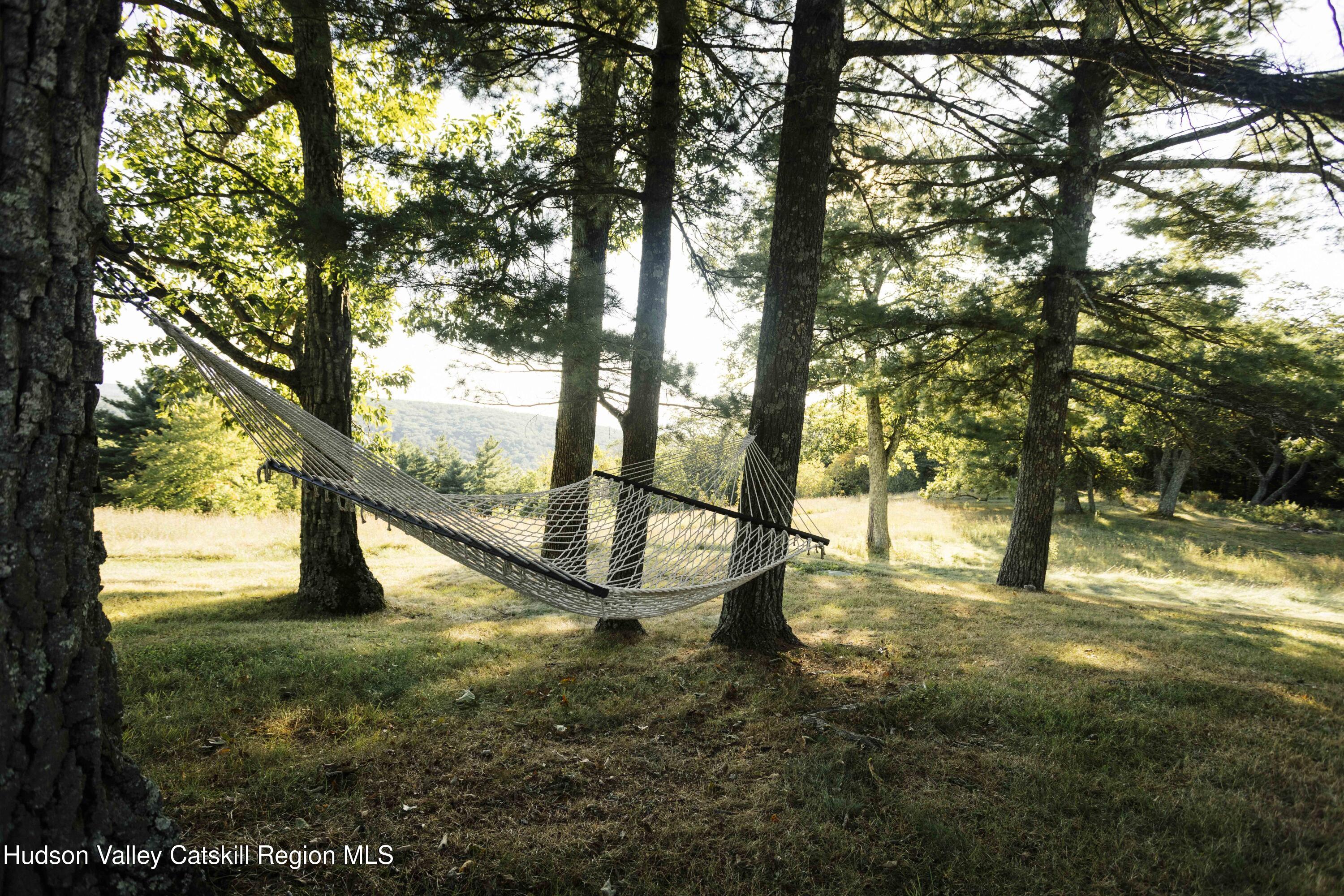 2429 County Rte 9 East Chatham, NY 12060 - Photo 53 of 59 7M6A3488