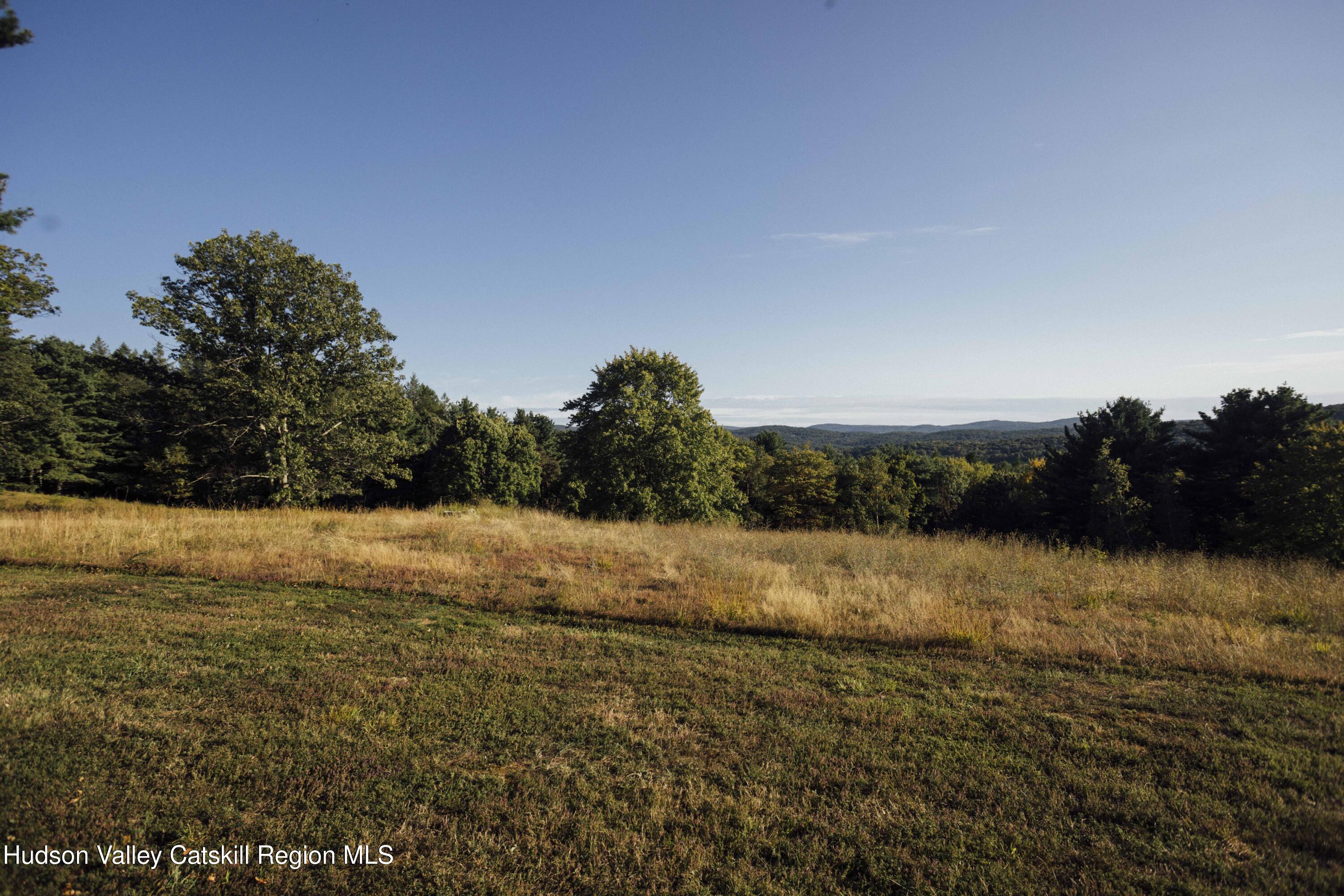 2429 County Rte 9 East Chatham, NY 12060 - Photo 54 of 59 7M6A3476