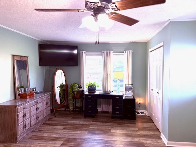 714 Howell Hill Road Flintville, TN 37335 - Photo 16 of 33 a view of a livingroom with furniture window and wooden floor