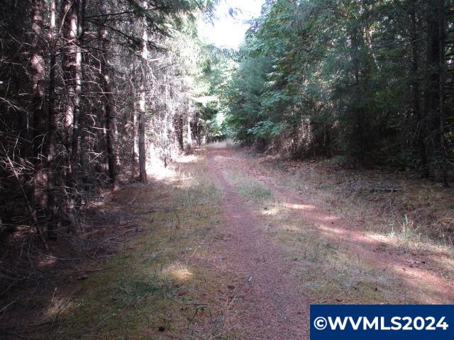 0 Northwest Crane (1) Road Yamhill, OR 97148 - Photo 9 of 10