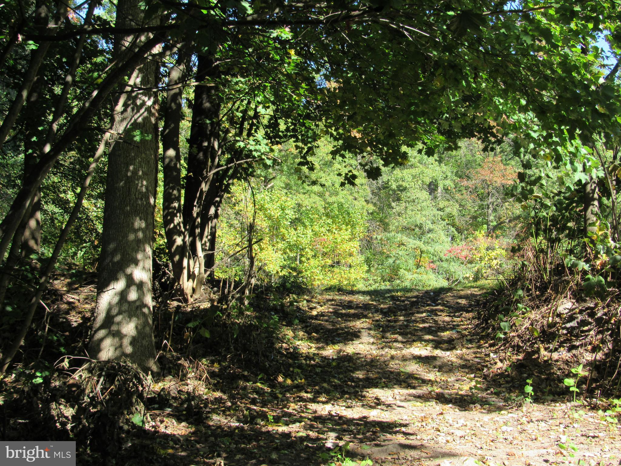 Entrance from Silver Ln