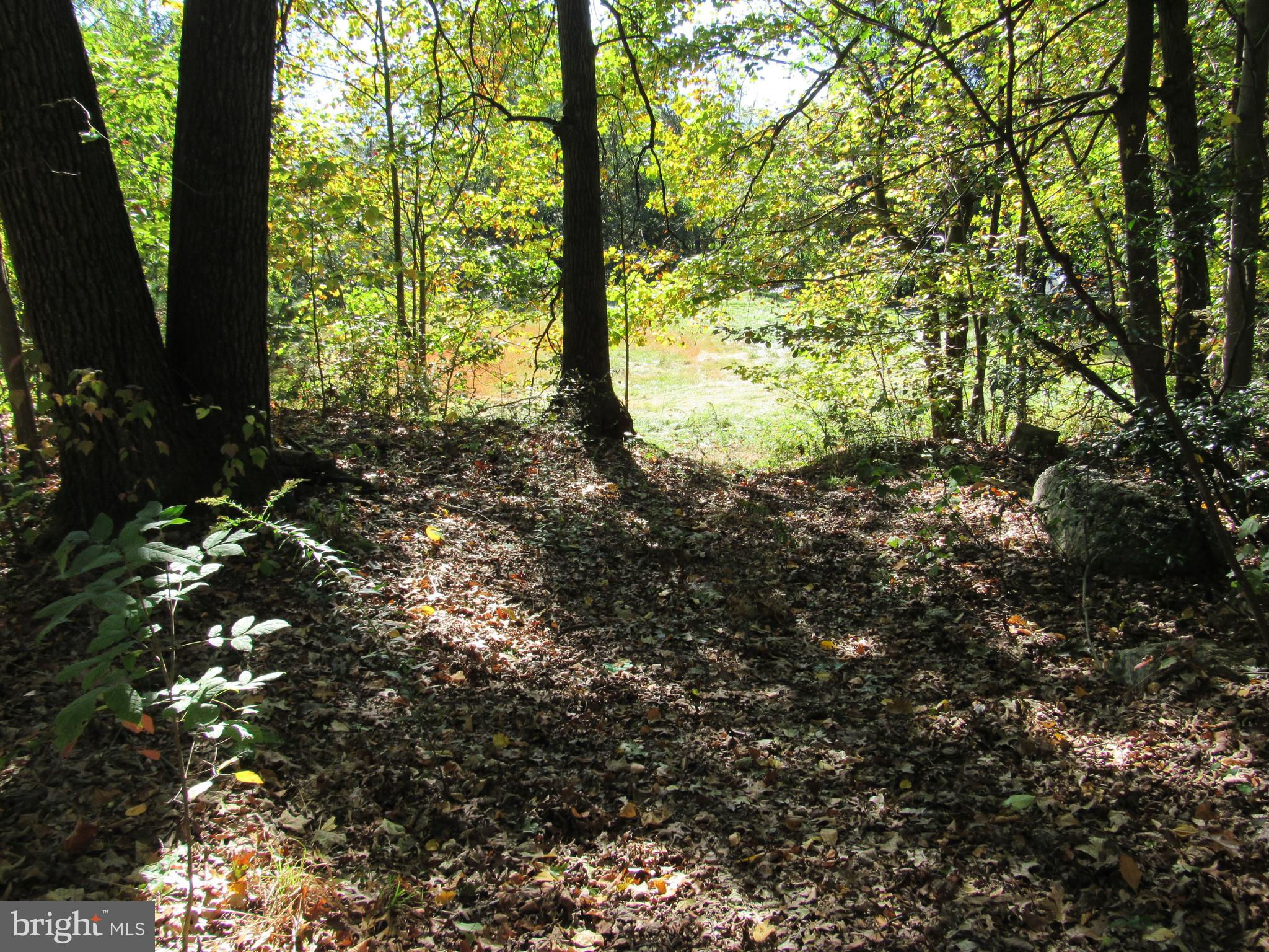 0 Silver Lane Ashland, PA 17921 - Photo 3 of 7 Top portion looking down from High Road