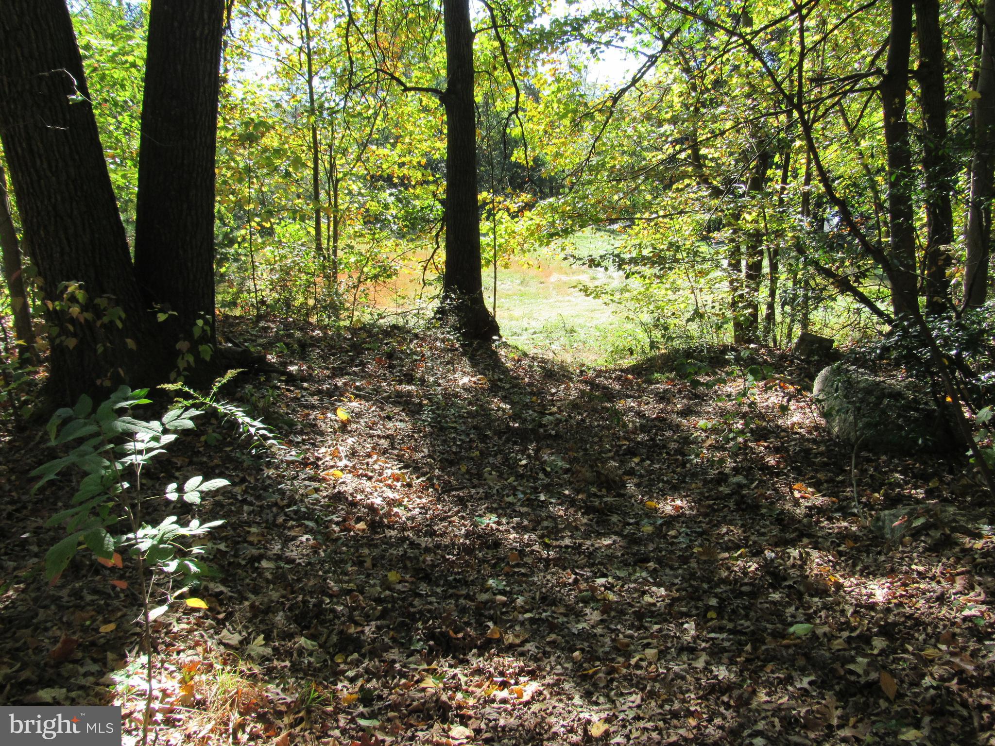 0 Silver Lane Ashland, PA 17921 - Photo 4 of 7