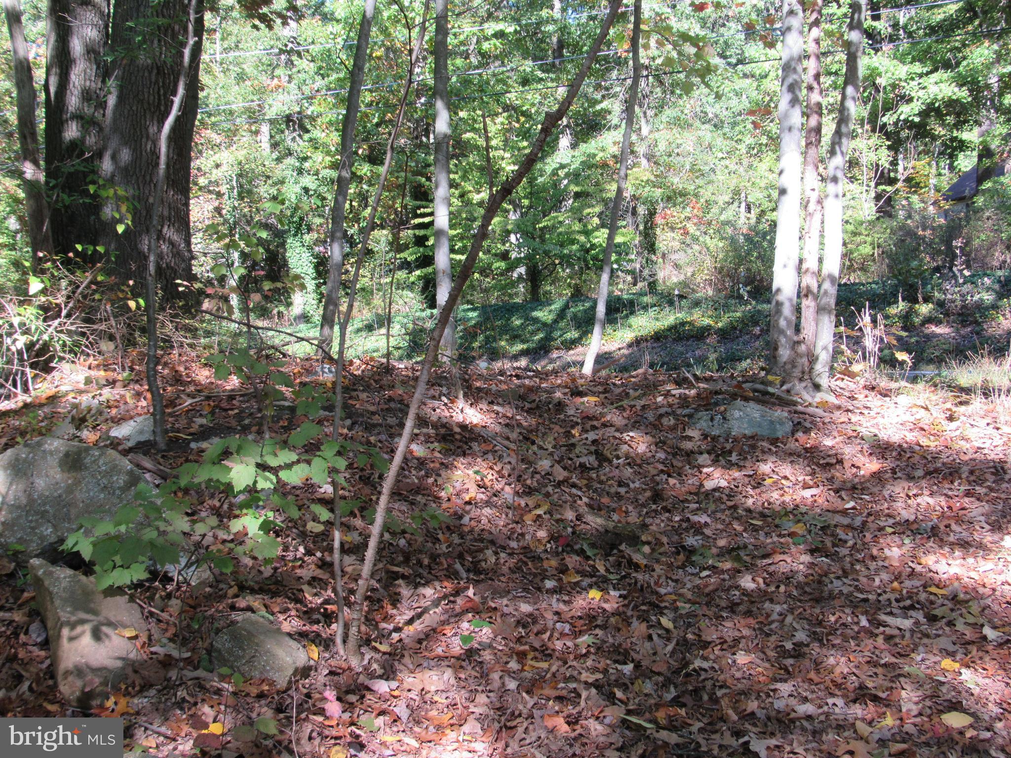 0 Silver Lane Ashland, PA 17921 - Photo 5 of 7