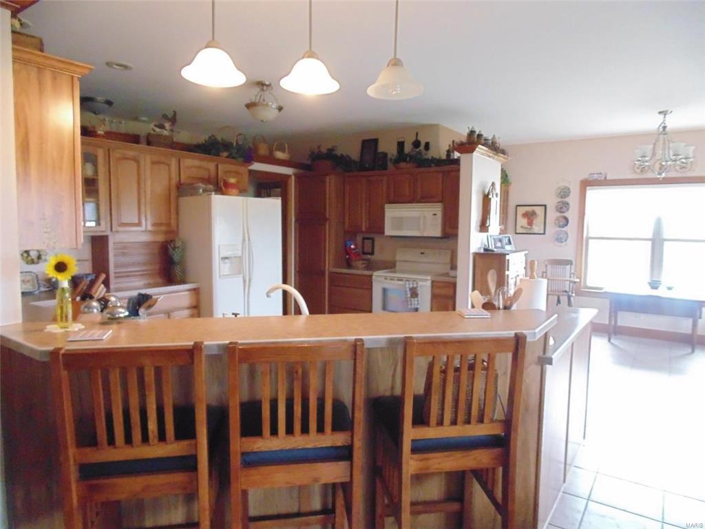 6504 Rockwell Road New Douglas, IL 62074 - Photo 6 of 63