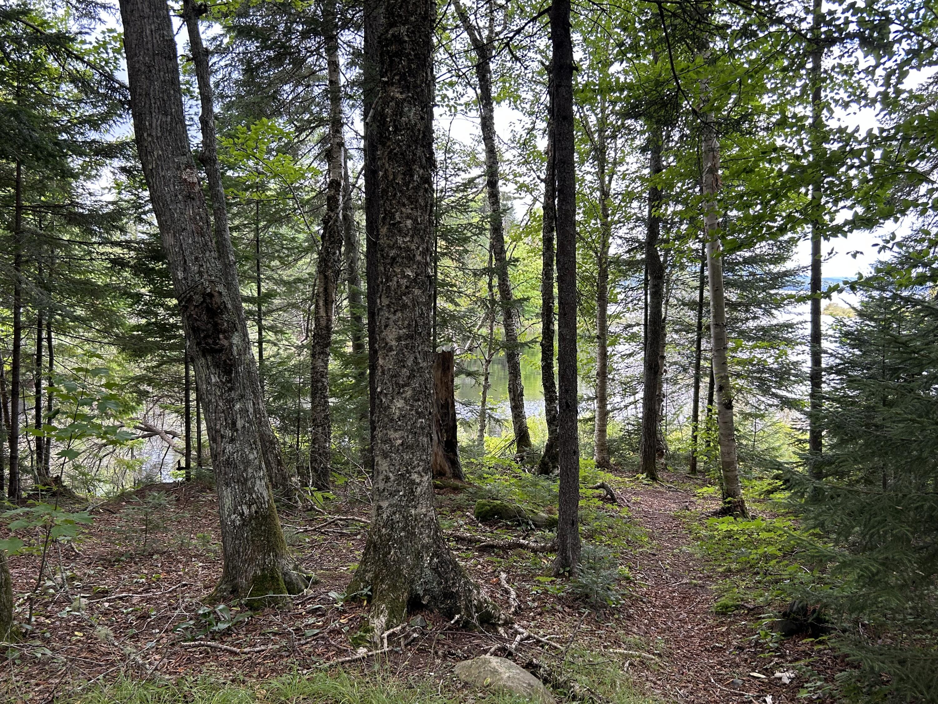 8-9 Alca Heights Road Oquossoc, ME 04964 - Photo 12 of 26 IMG_1649