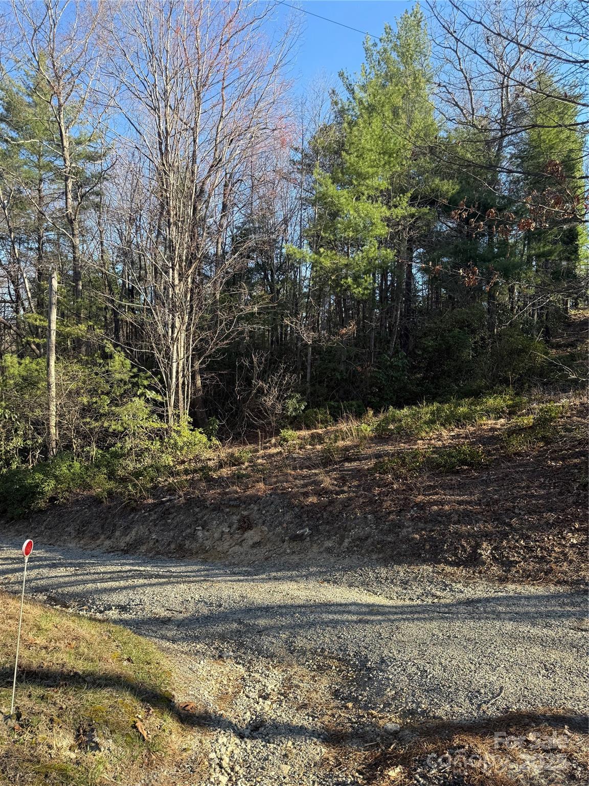 0 Old Sampson Road Lenoir, NC 28645 - Photo 2 of 4 a view of a backyard with large trees