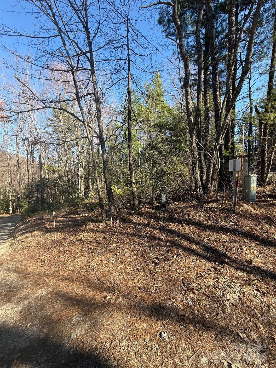 0 Old Sampson Road Lenoir, NC 28645 - Photo 3 of 4 a view of a yard with a tree