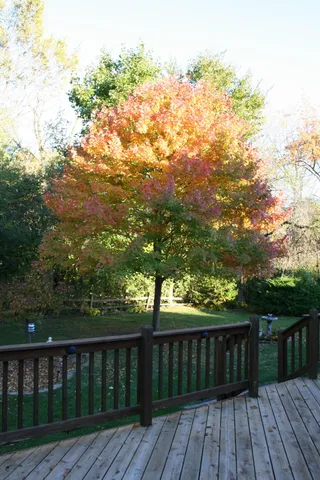 $392,000 | 3427 East Elmwood Drive, Elmwood Park, WI 53405