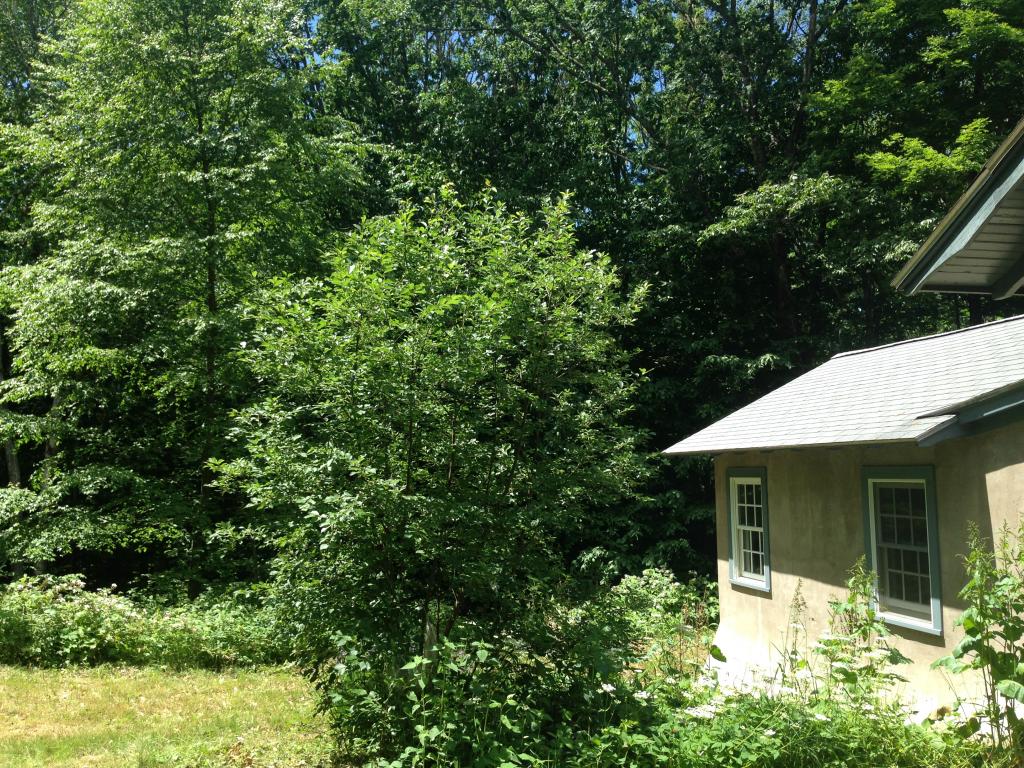 384 Alstead Center Road Alstead, NH 03602 - Photo 6 of 22