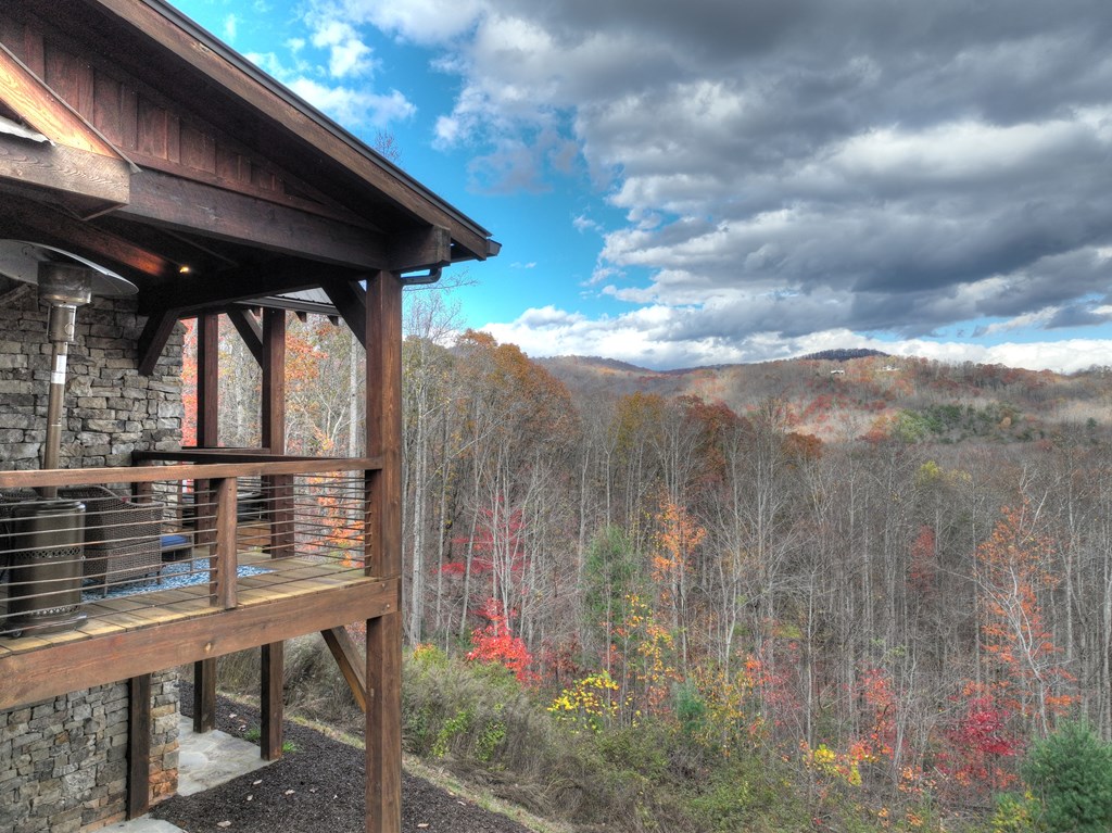 258 Laurel Ridge Drive Blue Ridge, GA 30513 - Photo 54 of 73