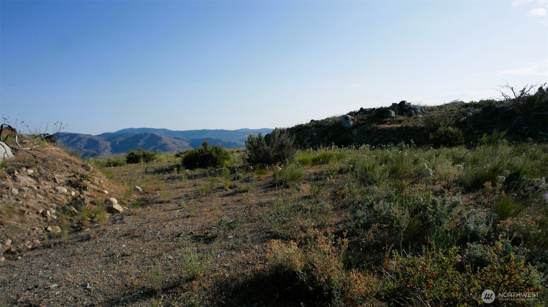 44 Sky Ridge Road Pateros, WA 98846 - Photo 8 of 27 a view of a city with lush green forest