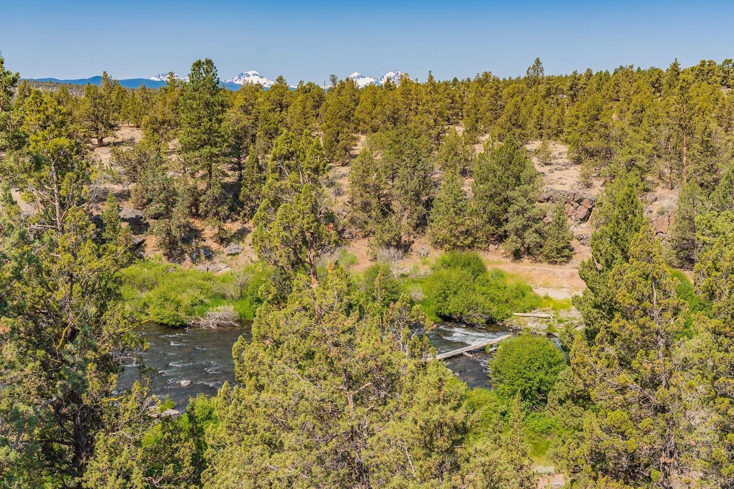 65035 Hopper Road Bend, OR 97703 - Photo 20 of 21 a view of a bunch of trees and bushes