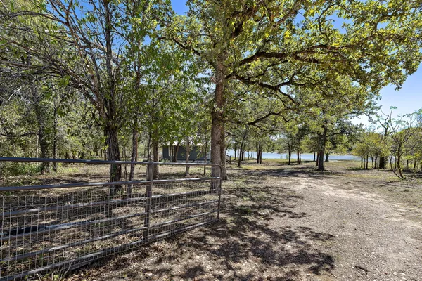 a view of a yard with trees