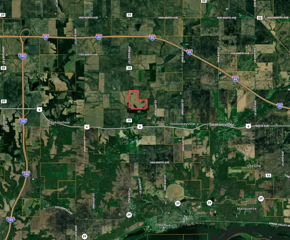 a view of a field of an ocean