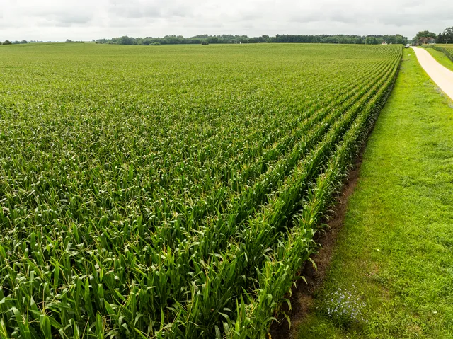 a view of a green wall