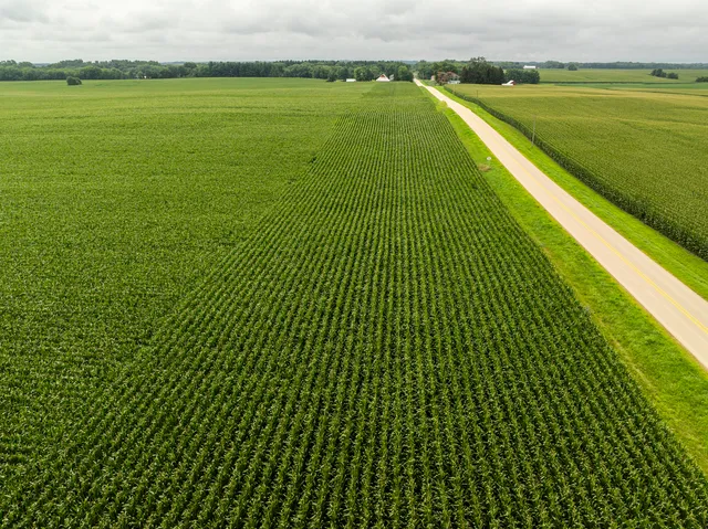 a view of a lush green field