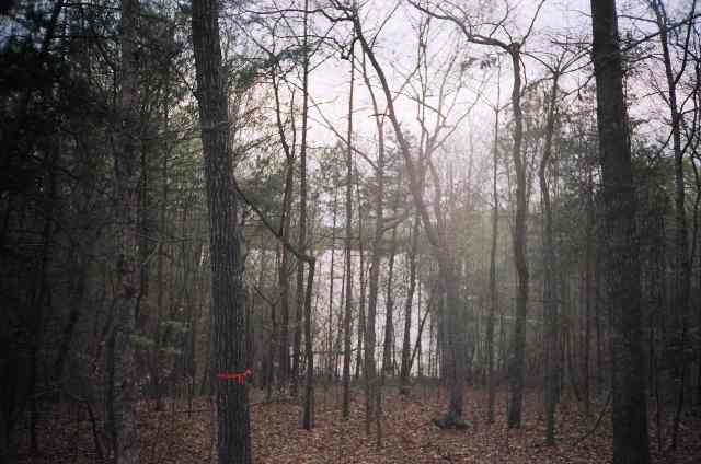 Lot 22 Nautical Way Anderson, SC 29625 - Photo 2 of 4 Gallery Image 2