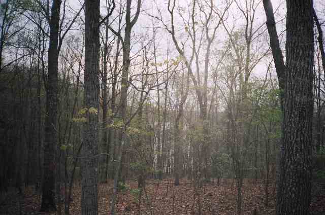 Lot 22 Nautical Way Anderson, SC 29625 - Photo 3 of 4 Gallery Image 3