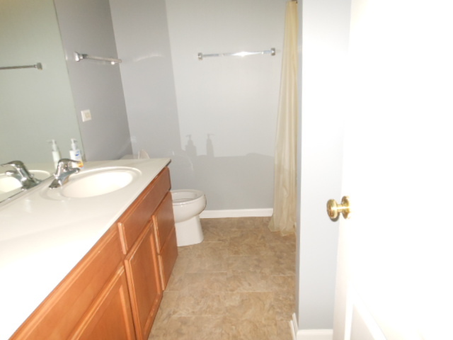 603 Conservatory Lane Aurora, IL 60502 - Photo 11 of 18 a bathroom with a sink a toilet and shower