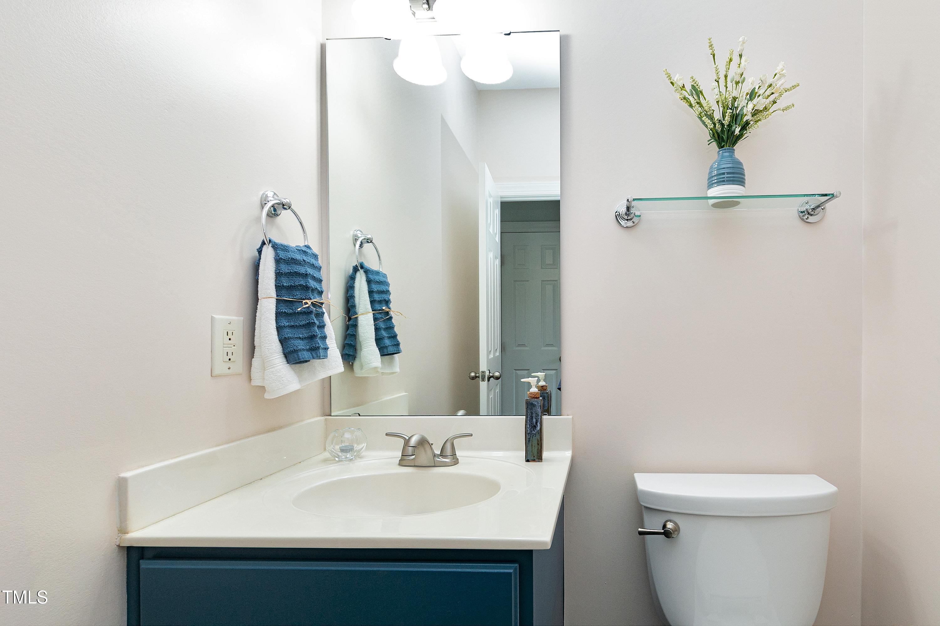 102 Kenneil Court Apex, NC 27502 - Photo 18 of 55 a bathroom with a sink a toilet and mirror