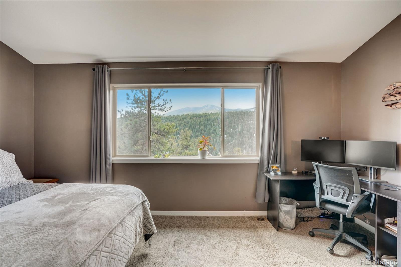 303 Virginia Road Bailey, CO 80421 - Photo 18 of 30 Gallery Image 18