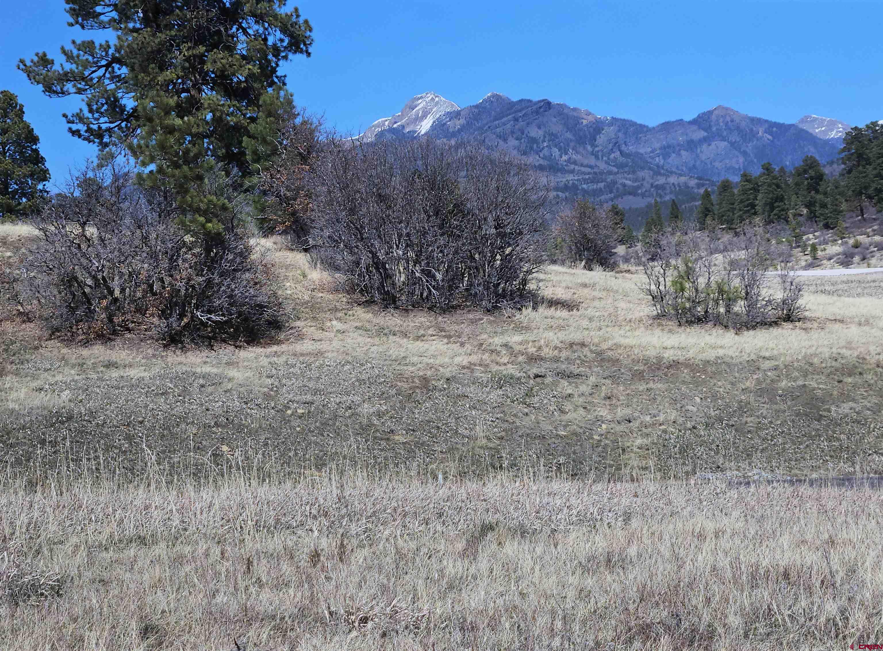 721 Clint Circle Pagosa Springs, CO 81147 - Photo 11 of 42 a view of a dry top yard