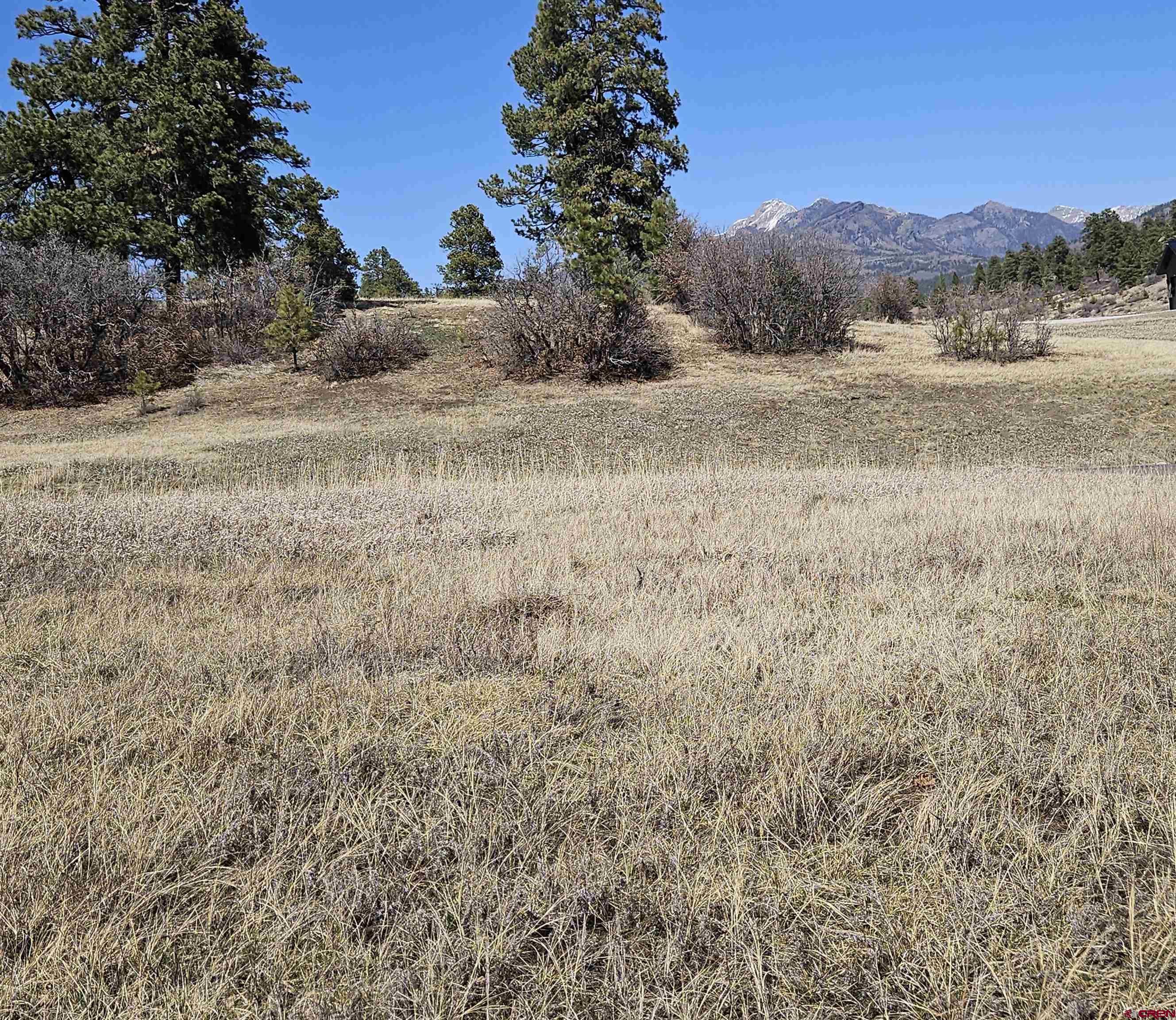 721 Clint Circle Pagosa Springs, CO 81147 - Photo 12 of 42 a view of an outdoor space and covered with trees