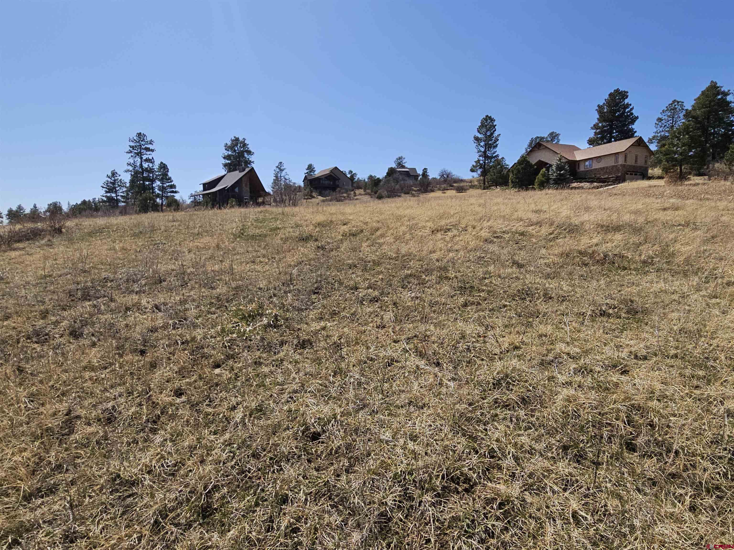 721 Clint Circle Pagosa Springs, CO 81147 - Photo 13 of 42 a view of a dry yard