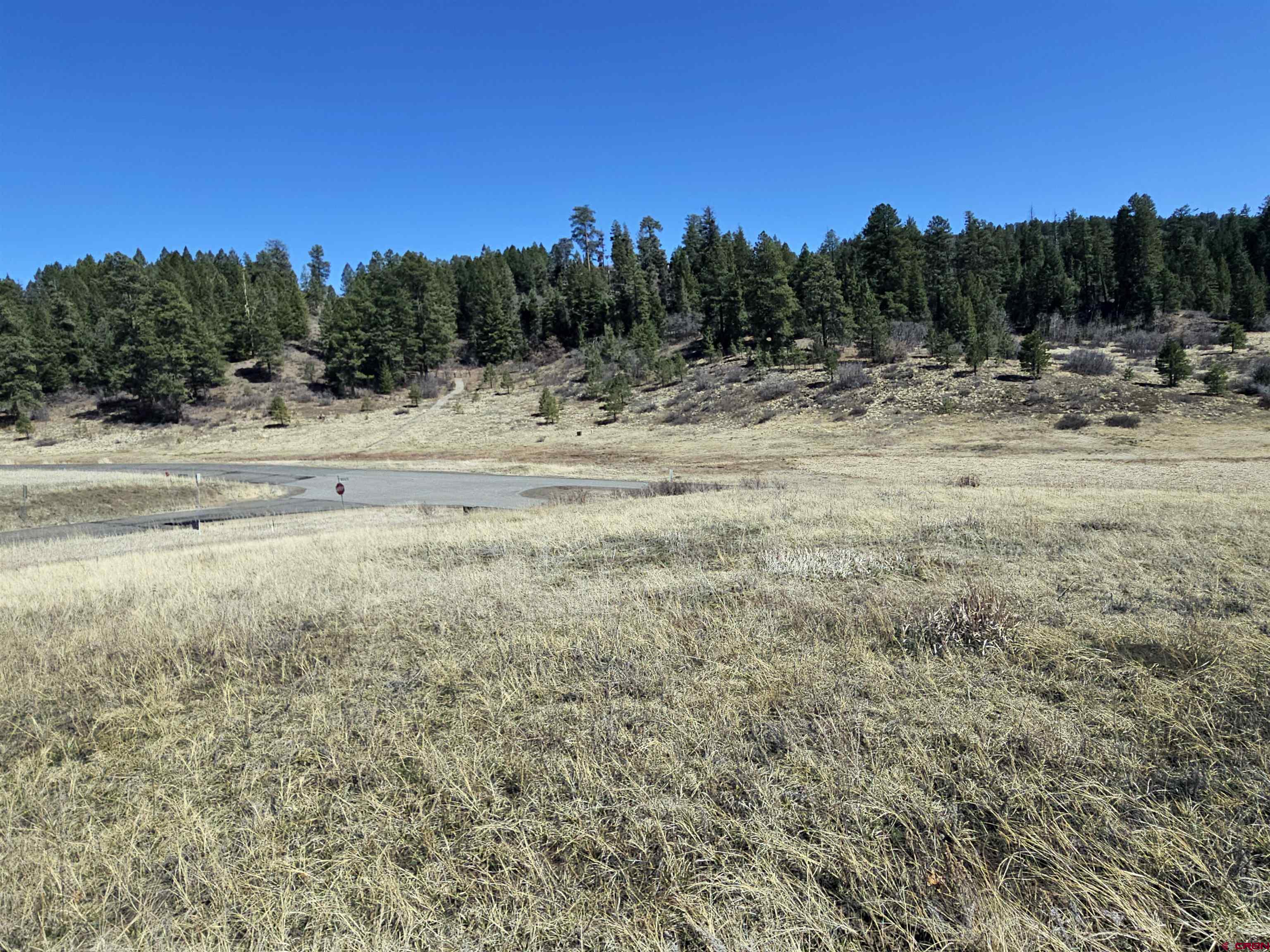 721 Clint Circle Pagosa Springs, CO 81147 - Photo 14 of 42 a view of a lake with trees in the background