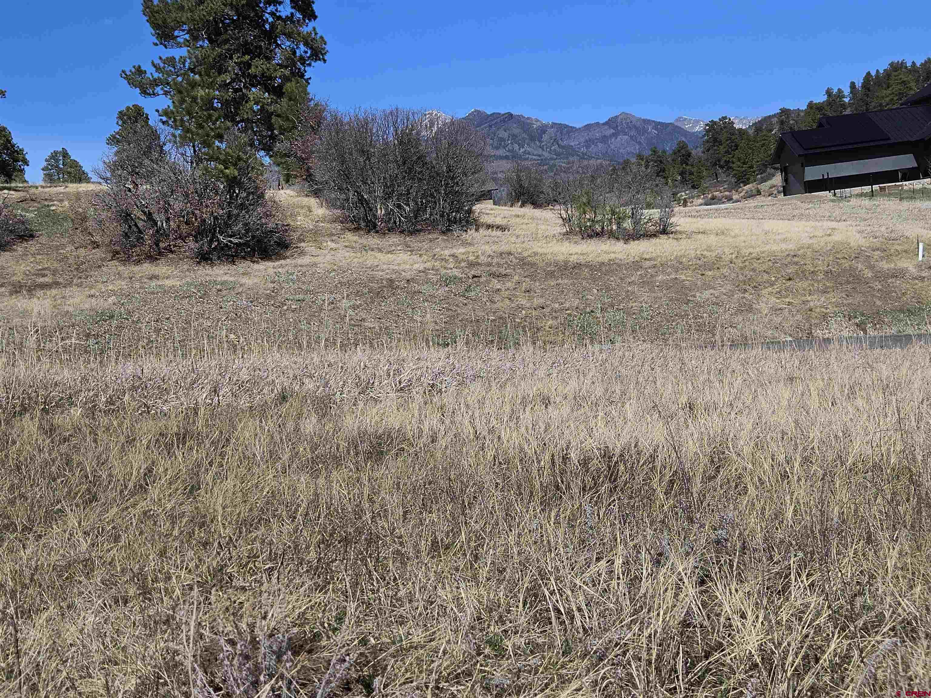 721 Clint Circle Pagosa Springs, CO 81147 - Photo 15 of 42 a view of a dry yard with trees