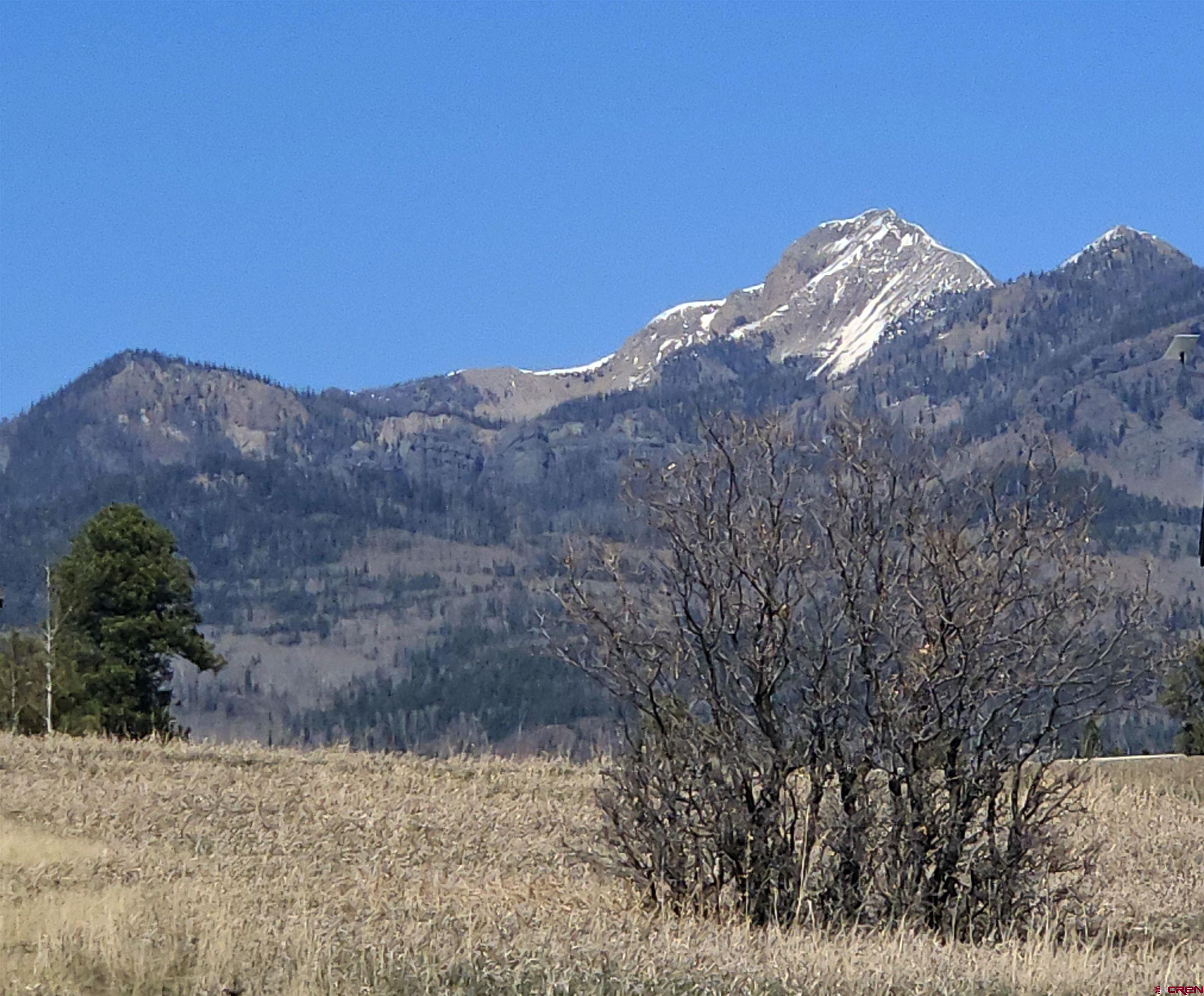721 Clint Circle Pagosa Springs, CO 81147 - Photo 18 of 42 a view of a dry yard with mountains in the background
