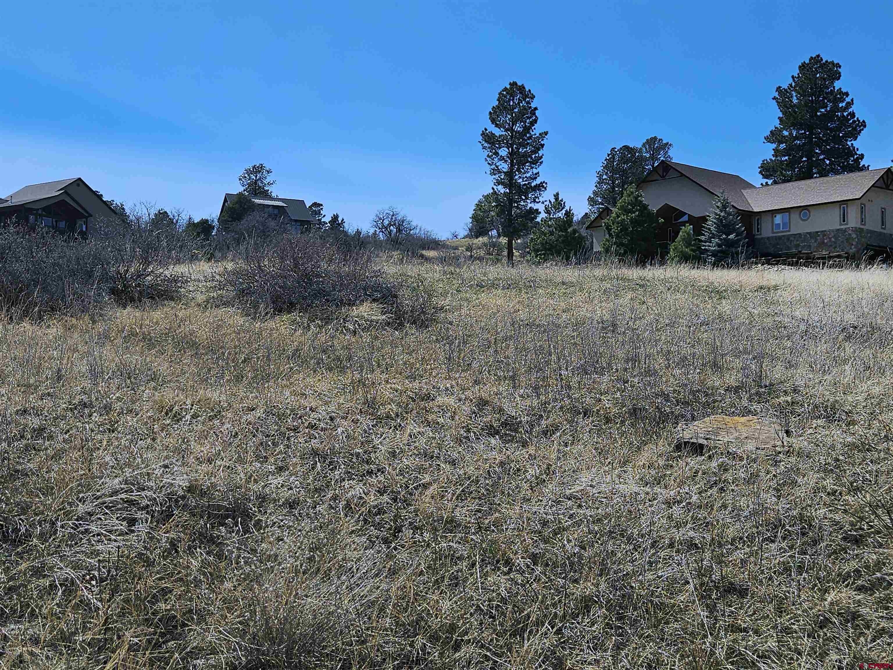 721 Clint Circle Pagosa Springs, CO 81147 - Photo 20 of 42 a view of a dry yard with trees