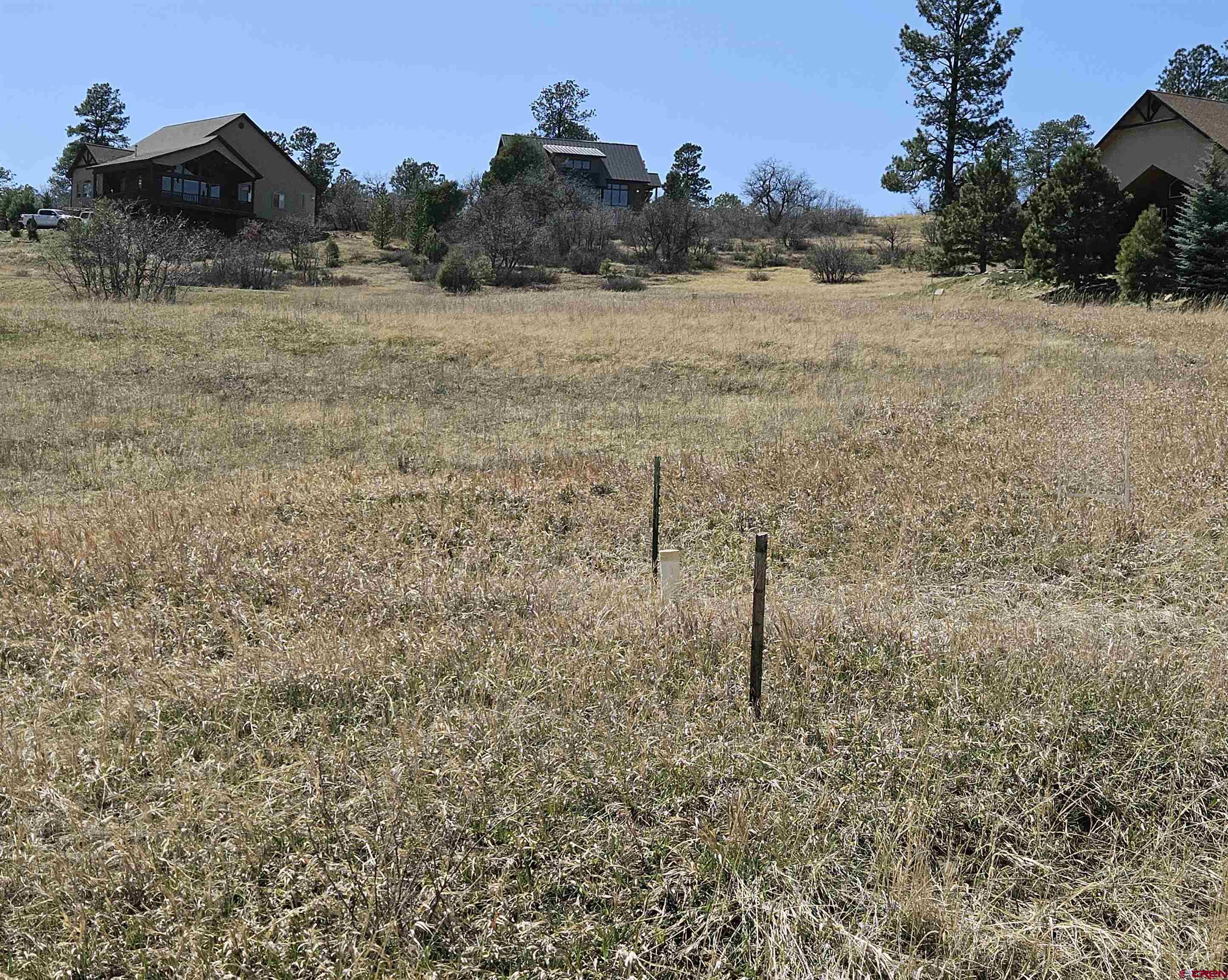 721 Clint Circle Pagosa Springs, CO 81147 - Photo 21 of 42 a view of a dry yard with wooden fence