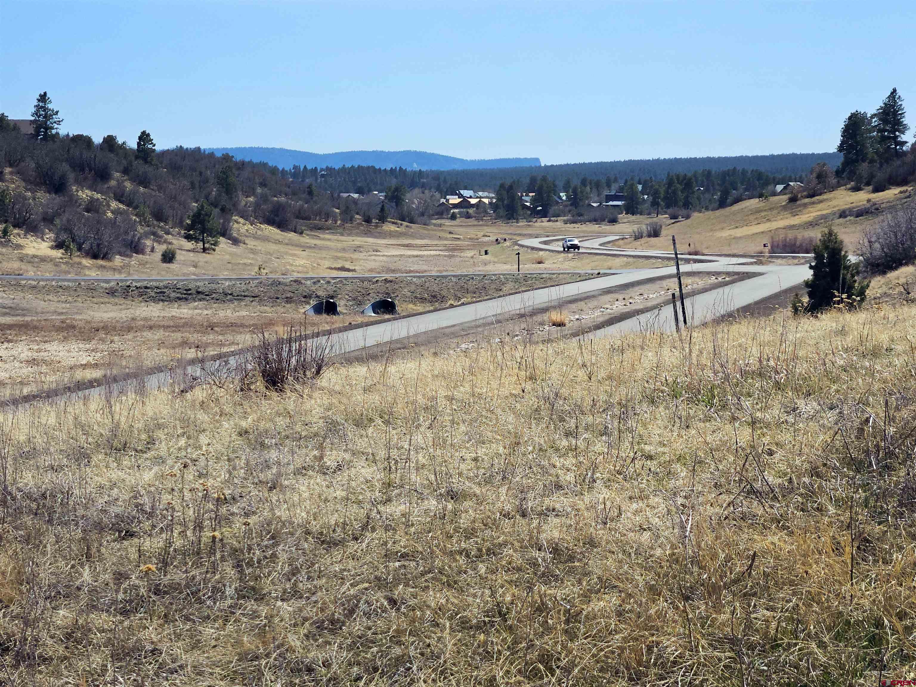 721 Clint Circle Pagosa Springs, CO 81147 - Photo 24 of 42 a view of a yard