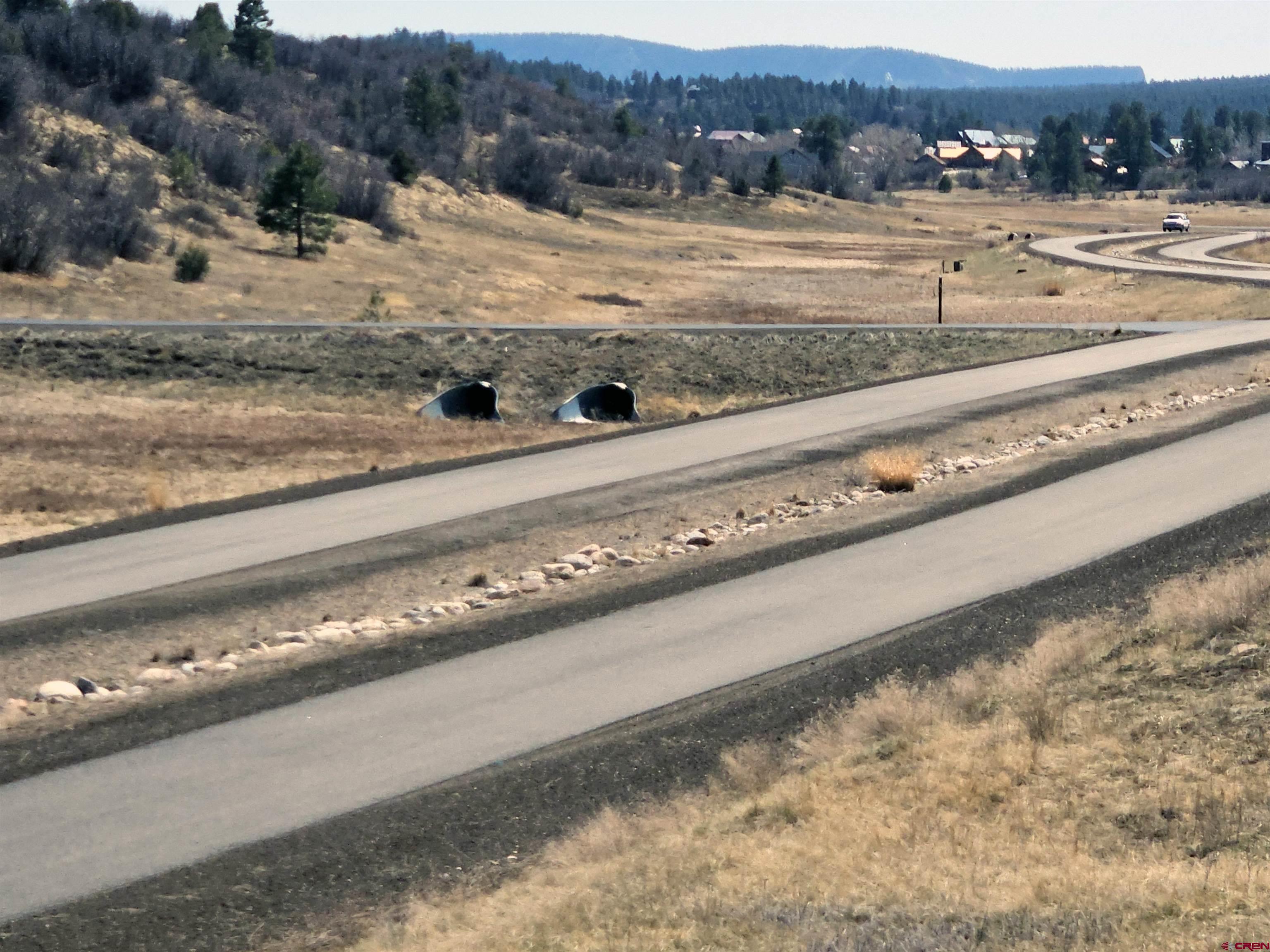 721 Clint Circle Pagosa Springs, CO 81147 - Photo 25 of 42 a view of a terrace view