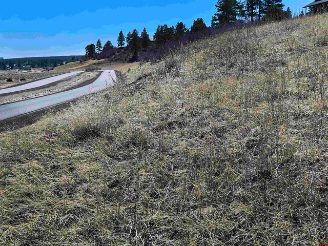 $80,000 | 721 Clint Circle, Pagosa Springs, CO 81147